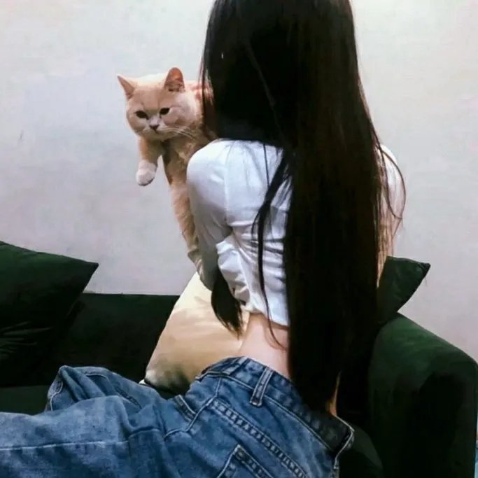 朋友圈